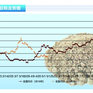 ɣ󶹳ɱЇ(gu)(ni)Ƀ(ni)⏊(qing)ˮa(chn)ǰء20207¿Ј(chng)څ(sh)