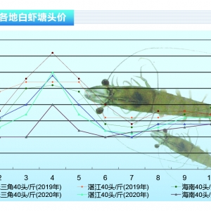 (du)rK(ni)q_(d)10Ԫrr(ji)ϝqˮa(chn)ǰء20211¿Ј(chng)څ(sh)