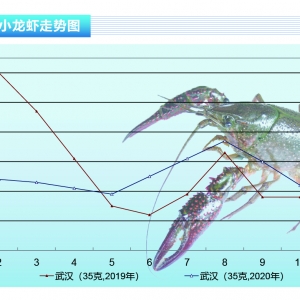 Сr(dng)(qun)Сr粻ҪmY(ji)ˮa(chn)ǰء202012¿Ј(chng)څ(sh)