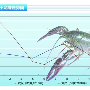 Сr(zhng)еĿǰ߀(jin)Ͷιˮˮa(chn)ǰء20211¿Ј(chng)څ ...