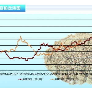 ɣ̼ϝq(chung)¸ԸSˮa(chn)ǰء202010¿Ј(chng)څ(sh)