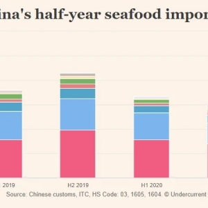 2020Їa(chn)ƷM(jn)~½20%~½8%