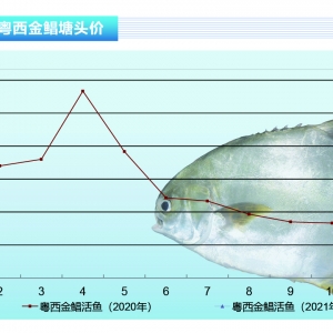 K~2021K~_Tt15Ԫ/ˮa(chn)ǰء20212¿Ј(chng)څ(sh)