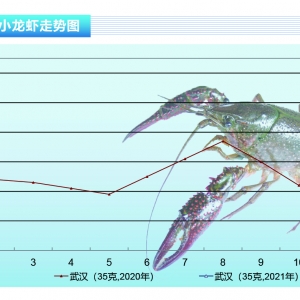 Сr݆r߀Æˮa(chn)ǰء20212¿Ј(chng)څڅ(sh)