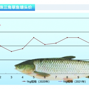 ~(y)(ji)M(fi)~(y)r(ji)m(x)jӭ(li)yõĺ顪ˮa(chn)ǰء20213¿Ј(chng)څ(sh) ...