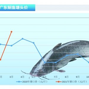 t~鱩q2-3Ҏ(gu)~ϡȱˮa(chn)ǰء20214¿Ј(chng)څ(sh)