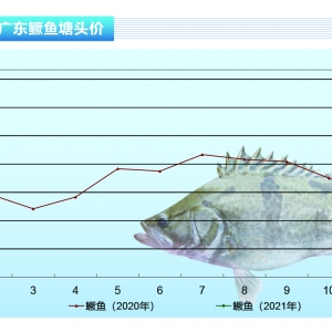 Z~(ji)ã͝q12Ԫ/ˮa(chn)ǰء20213¿Ј(chng)څ(sh)