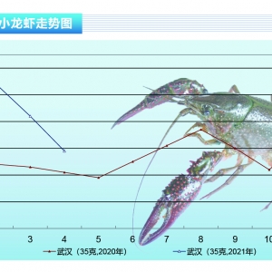 Сrrr(ji)ѸµСrи߷(li)ˡˮa(chn)ǰء20215¿Ј(chng)څ(sh)