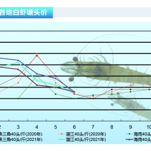 (du)rȫ(gu)rr(ji)ȫµⲡrࡪˮa(chn)ǰء20217¿Ј(chng)څ(sh)