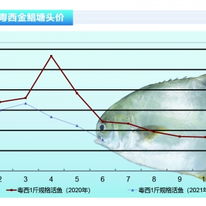 K~m(x)УB(yng)ֳY朔ѡˮa(chn)ǰء20217¿Ј(chng)څ(sh)