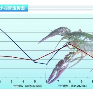 Сr߃r(ji)^m(x)m(x)r(yng)󡪡ˮa(chn)ǰء20219¿Ј(chng)څ(sh)