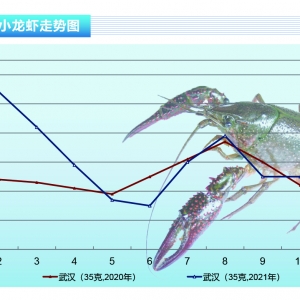 Сrhӏ(qing)ڹȡ顪ˮa(chn)ǰء202111¿Ј(chng)څ(sh)